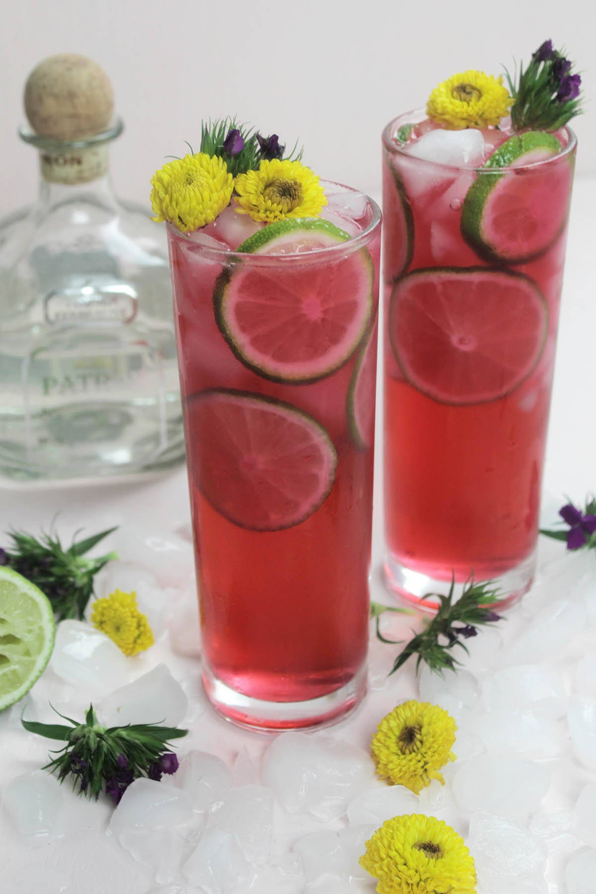Hibiscus, Tequila, and Sprite Cocktail